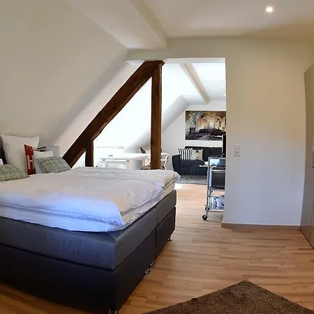 Ferienwohnung Molkenkur Apartment Baden-Baden